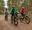 A family on bikes cycling in the forest.