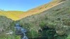 Stream in between hills in North Wales   