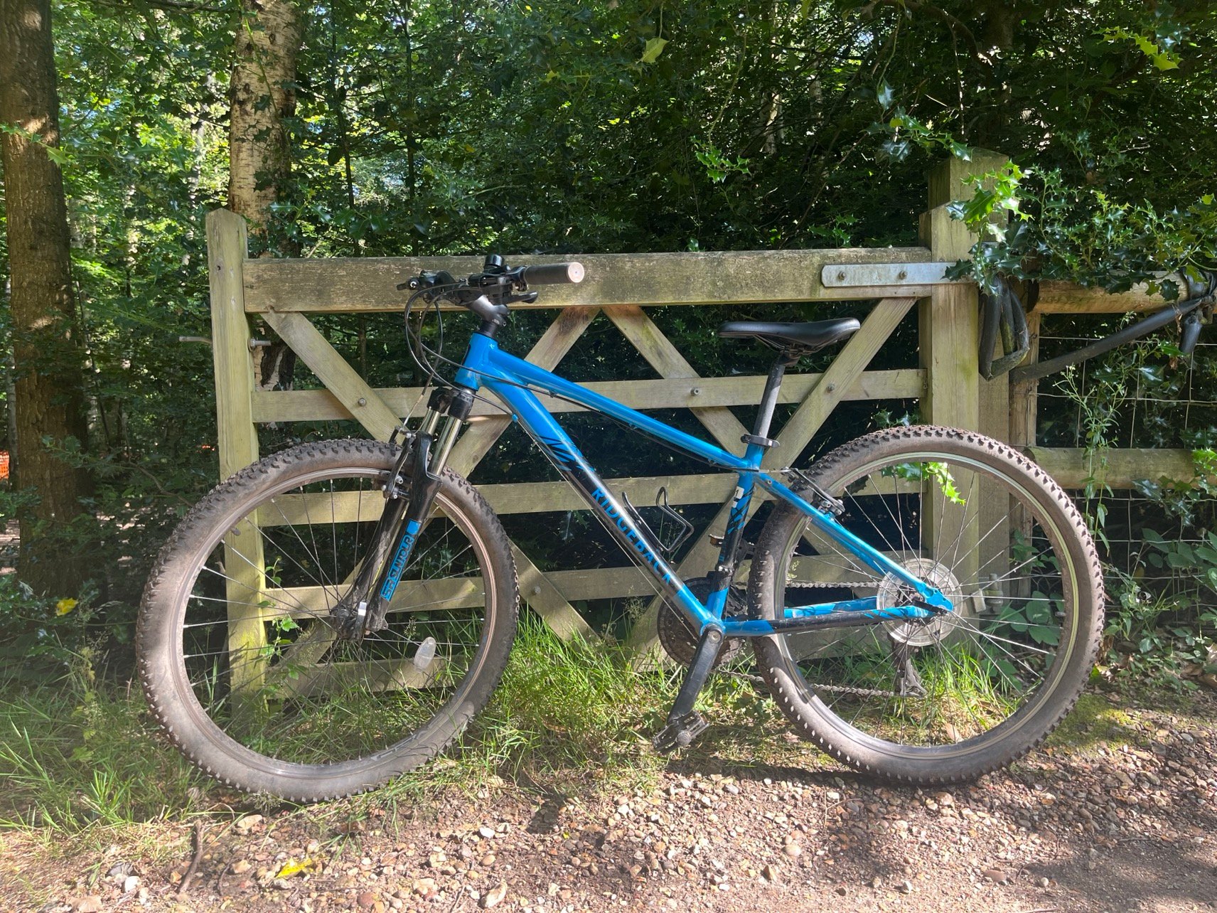 Small bike for hire at Go Ape Black Park