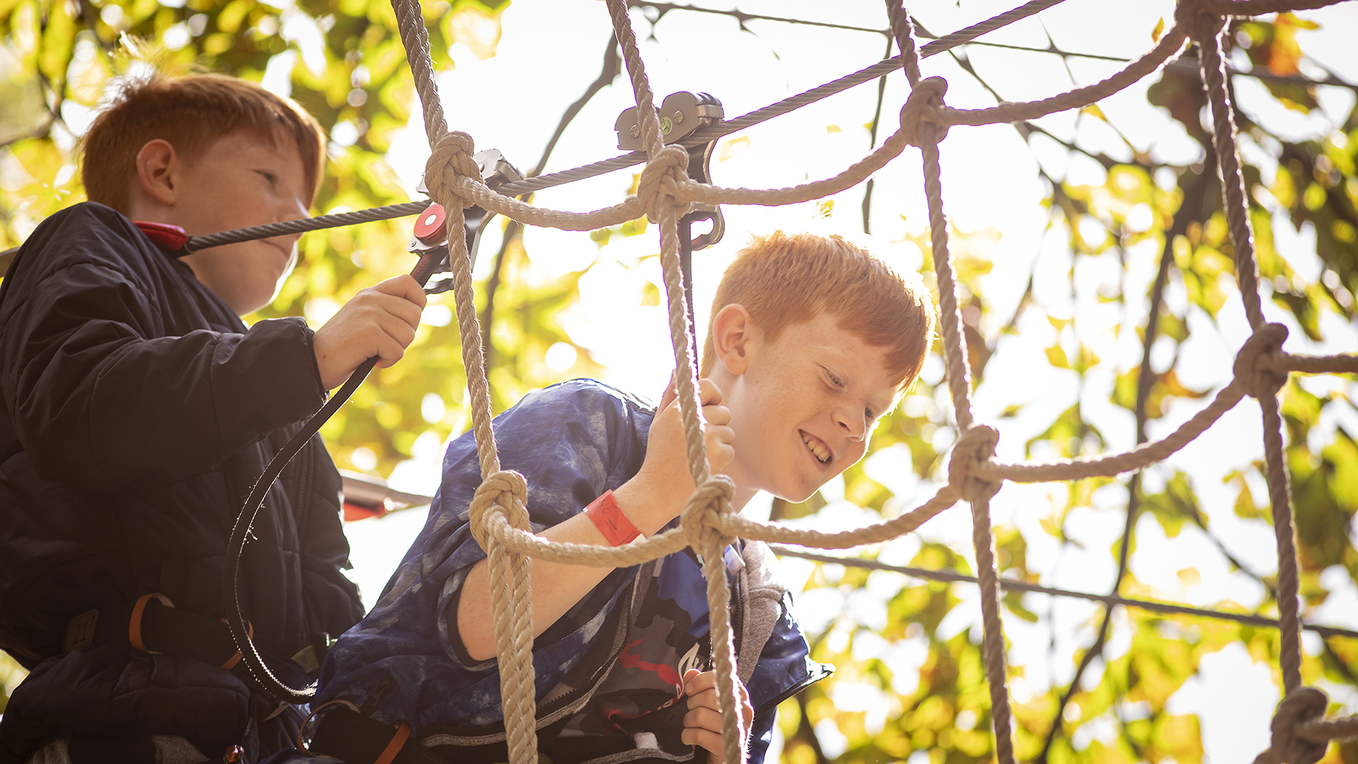 High Ropes For Older Children In Bedgebury Kent Go Ape