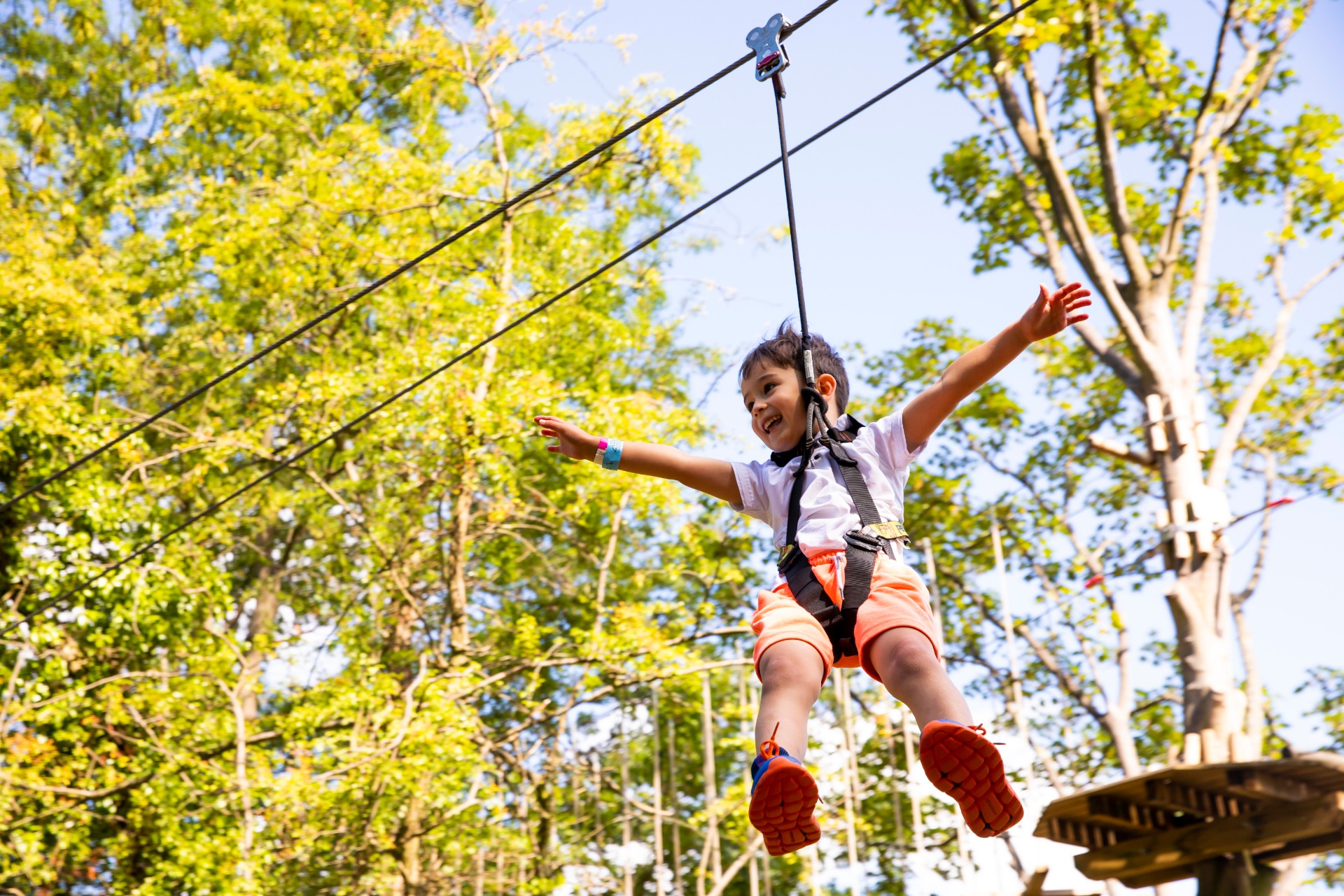 High Ropes For Kids In Alexandra Palace London Go Ape