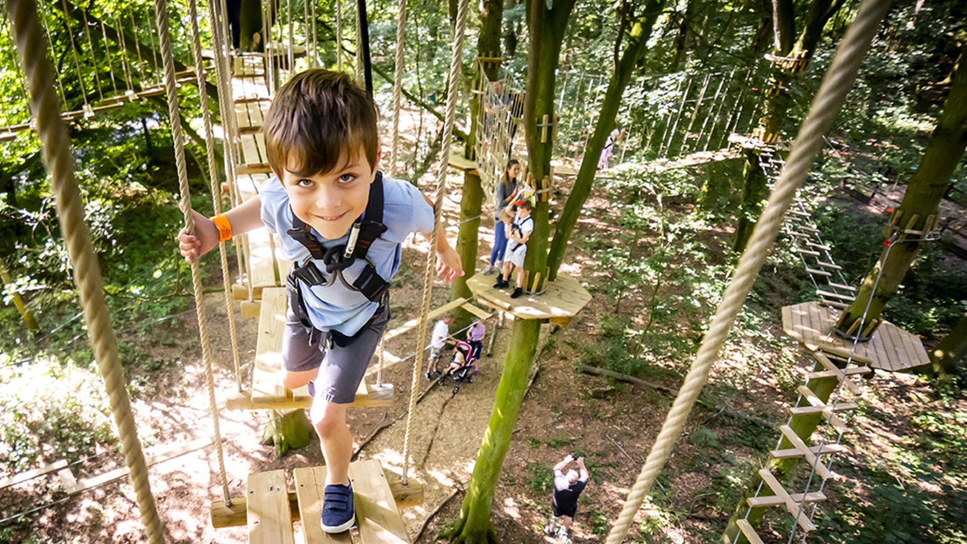 Find Adventure In Normanby Hall Nr Scunthorpe Go Ape