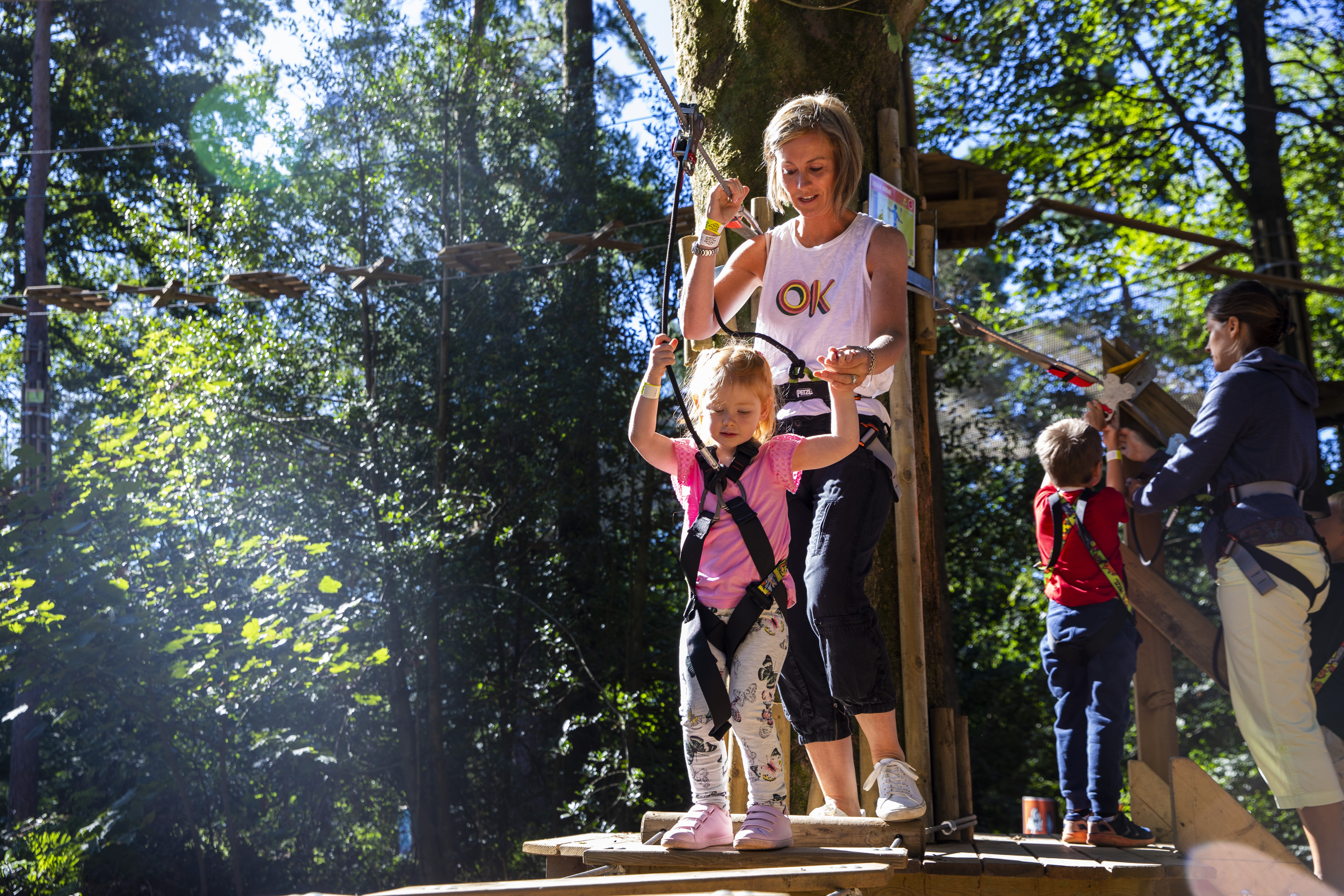 High Ropes For Kids In Thetford Forest Suffolk Go Ape