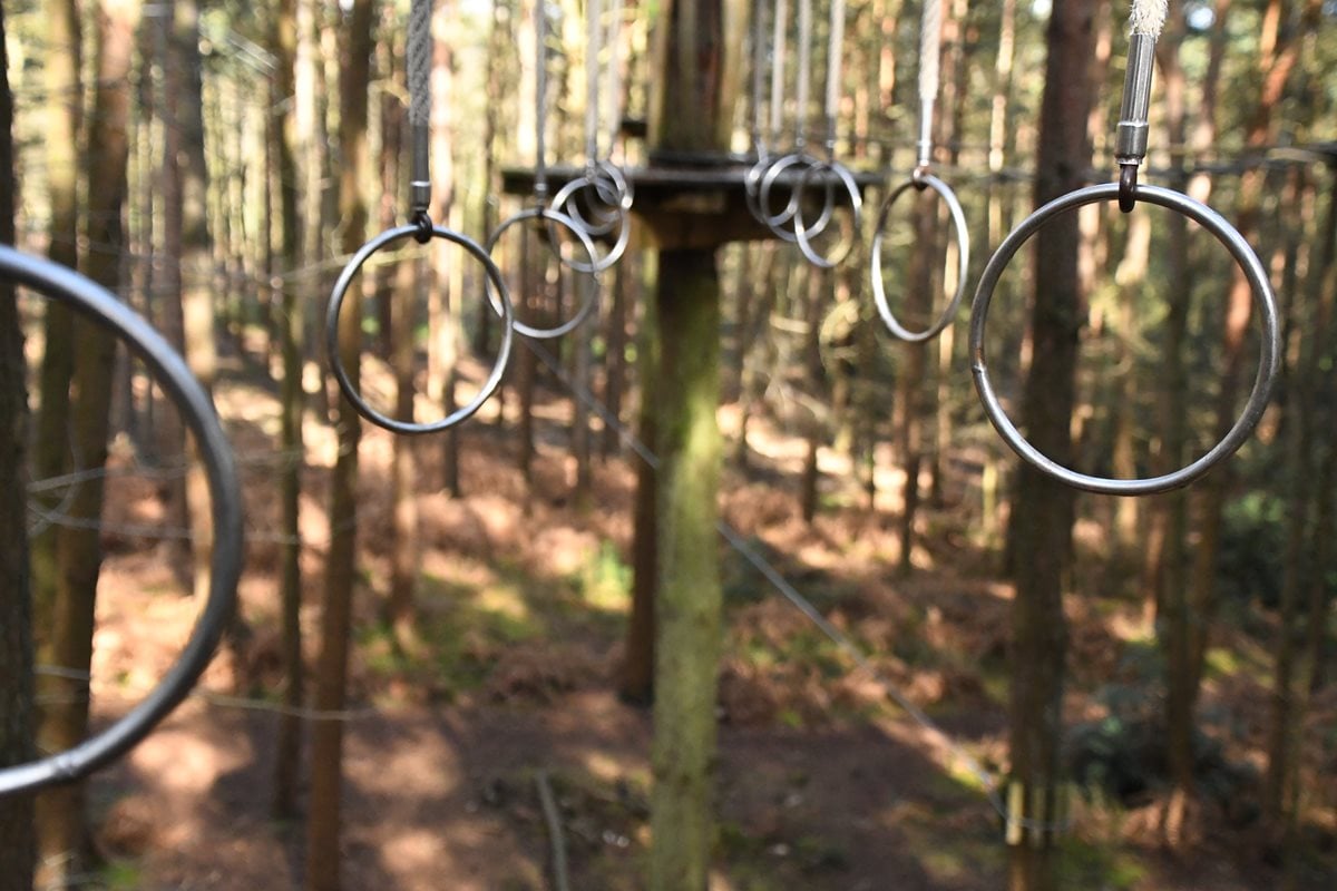 High Ropes For The Adventurous In Crawley Go Ape