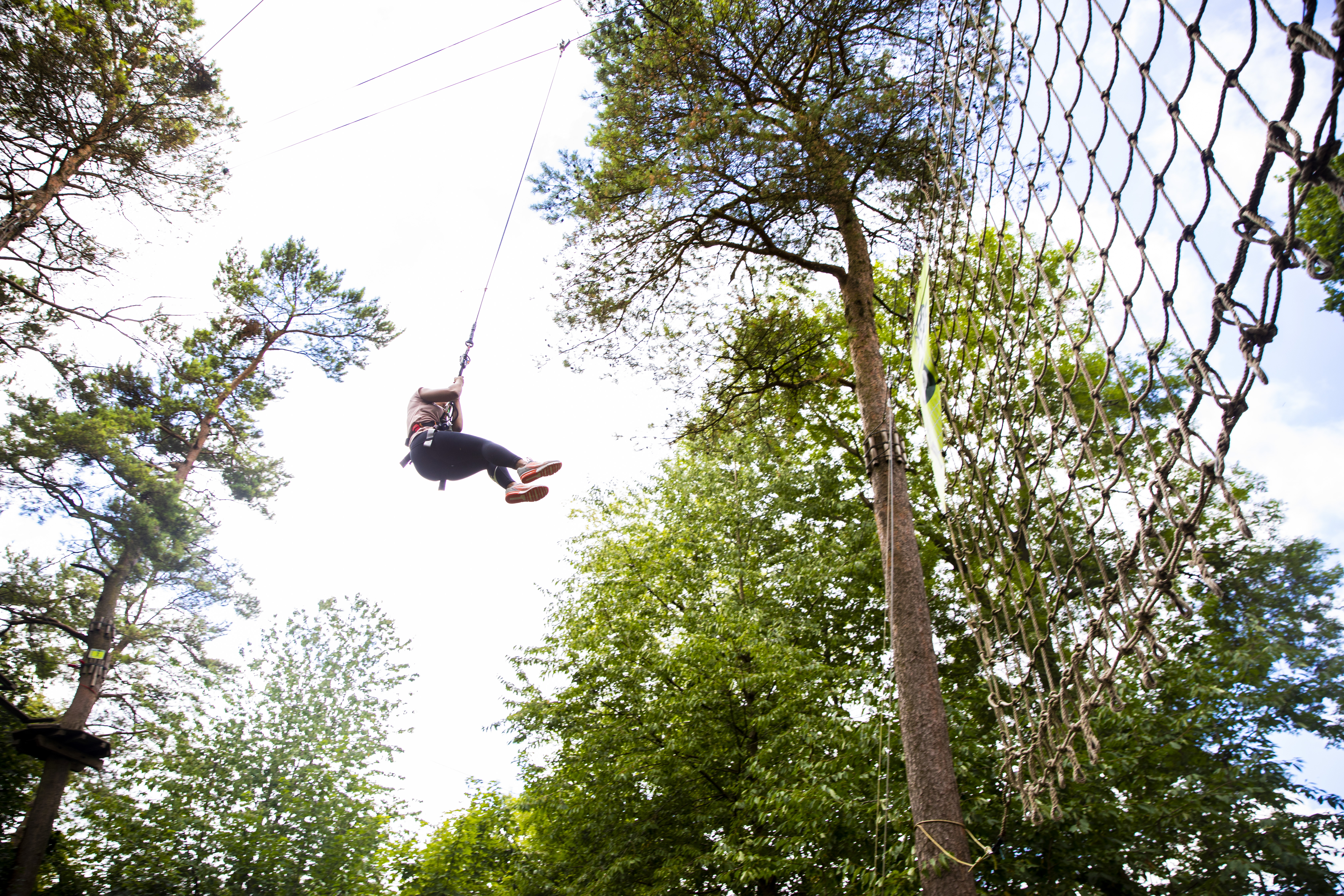 Adventurous High Ropes In Southampton Hampshire Go Ape