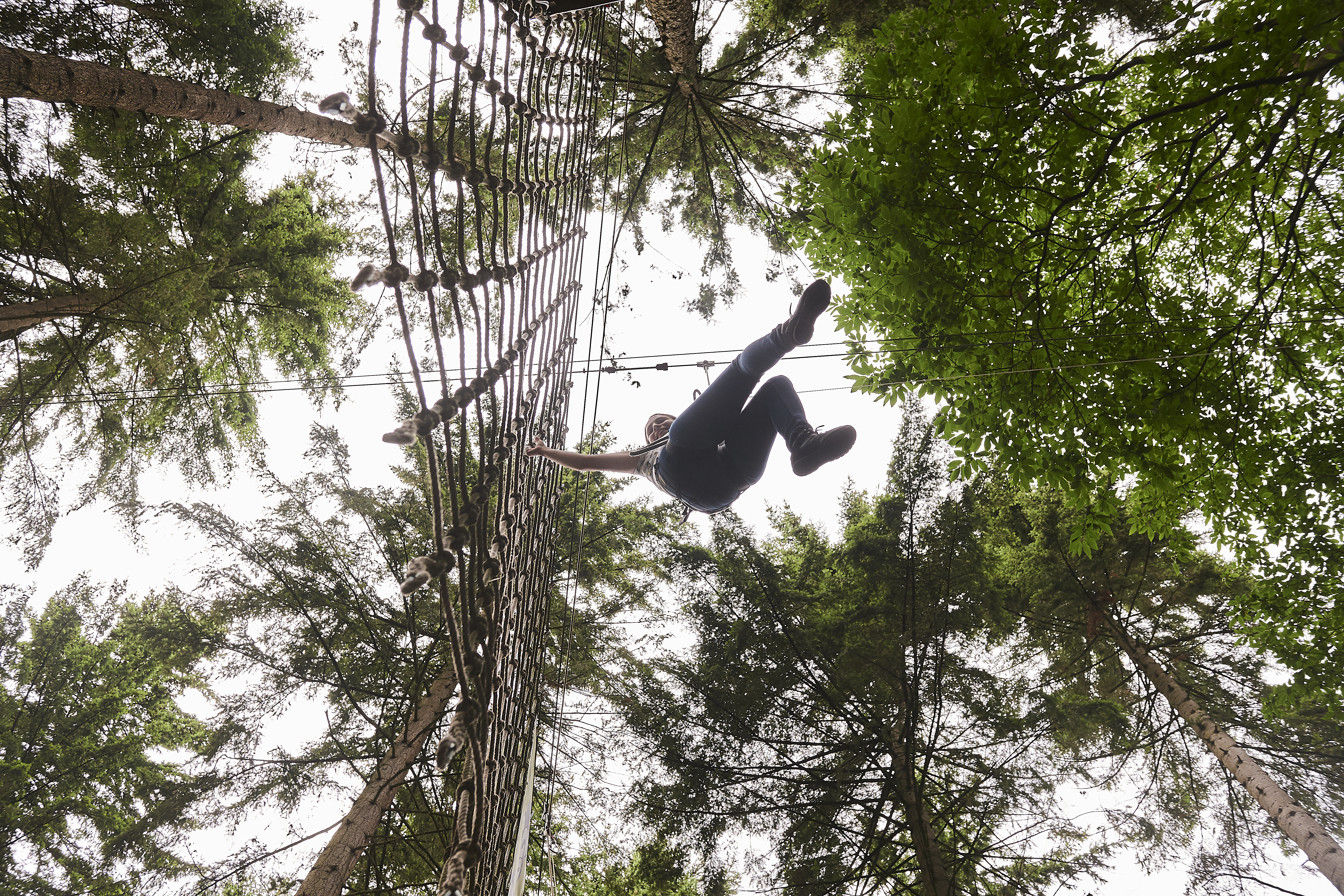 Adventurous High Ropes In Thetford Suffolk Go Ape