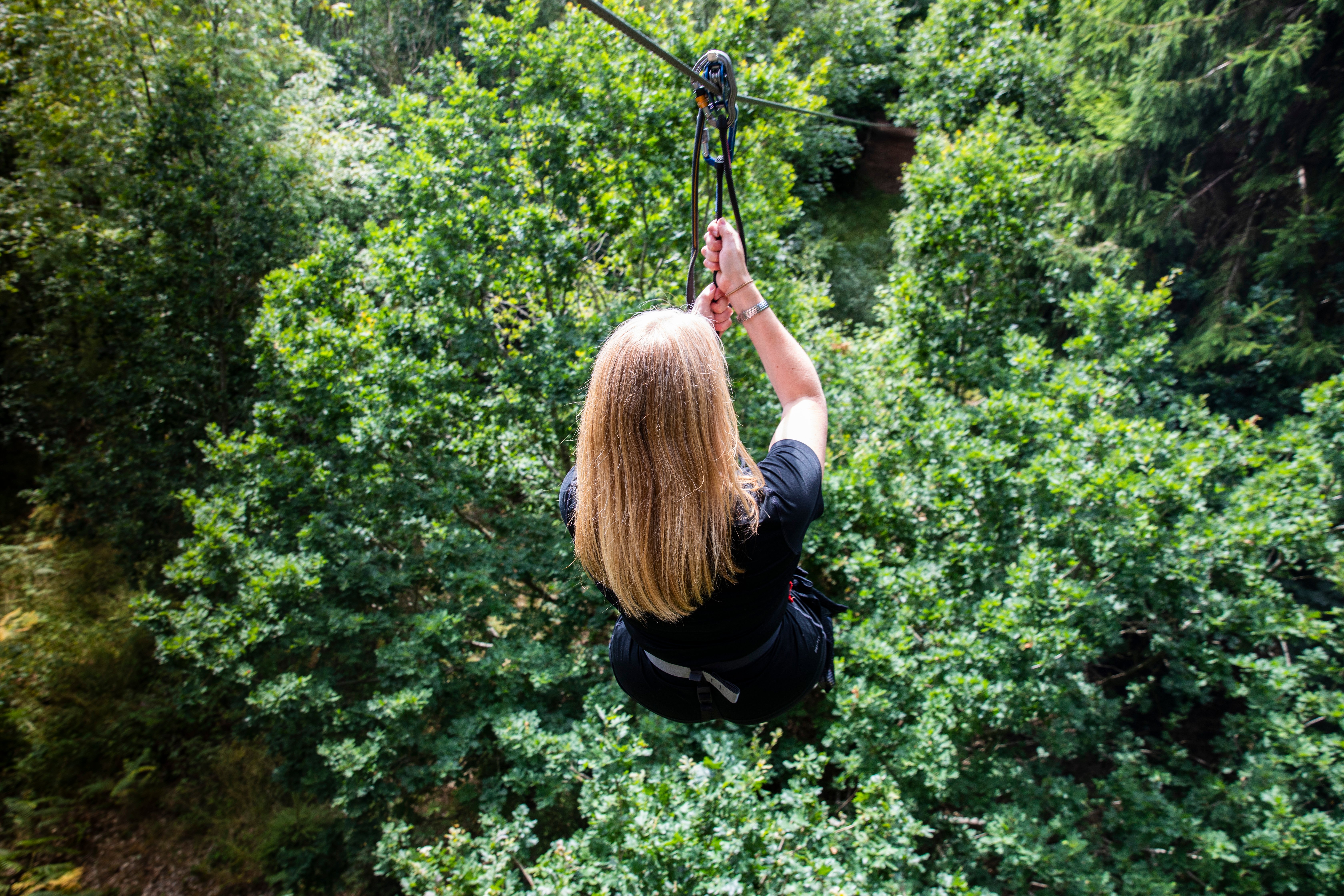 Adventurous High Ropes In Woburn Nr Milton Keynes Go Ape