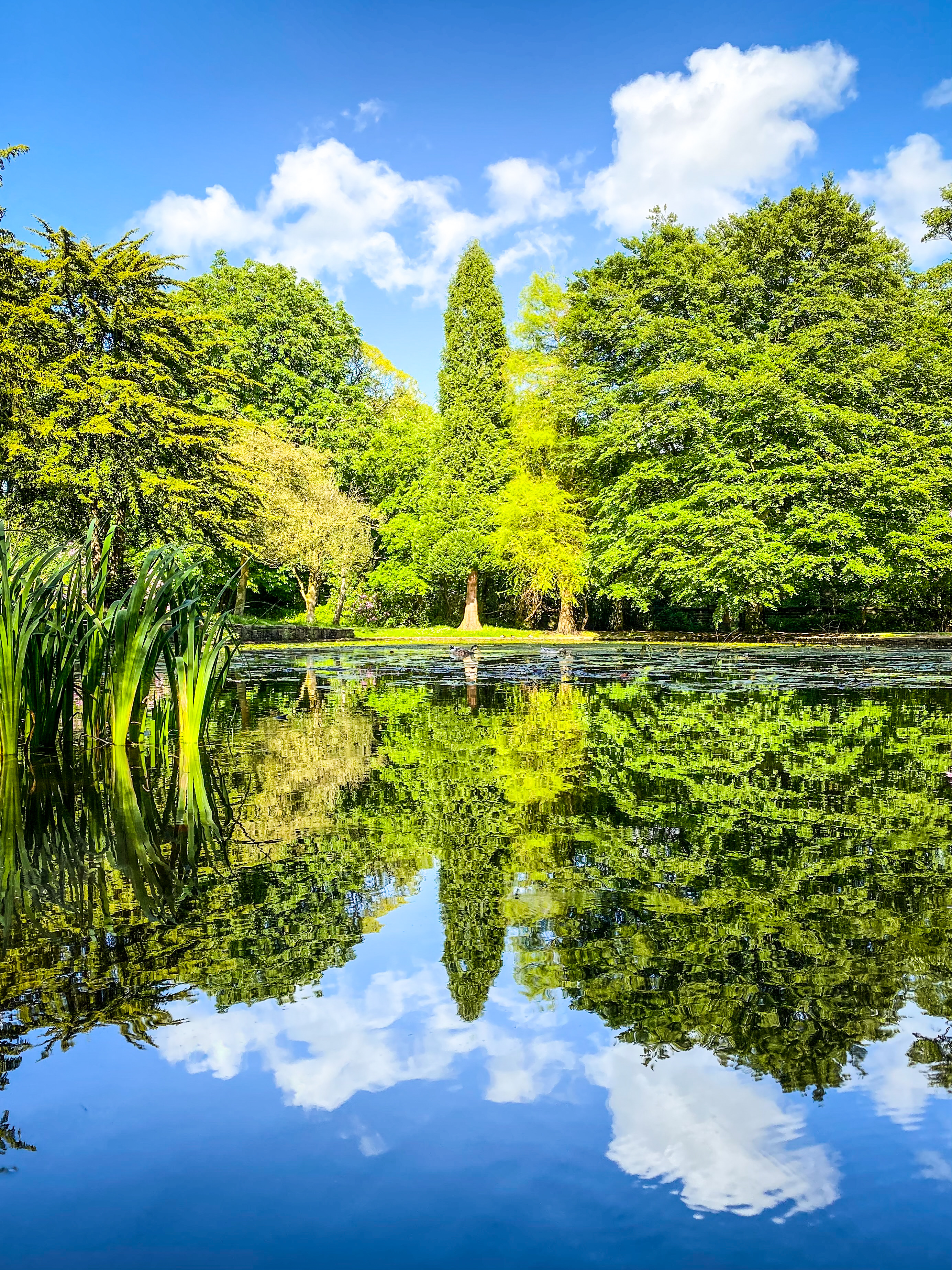 Witton Country Park 