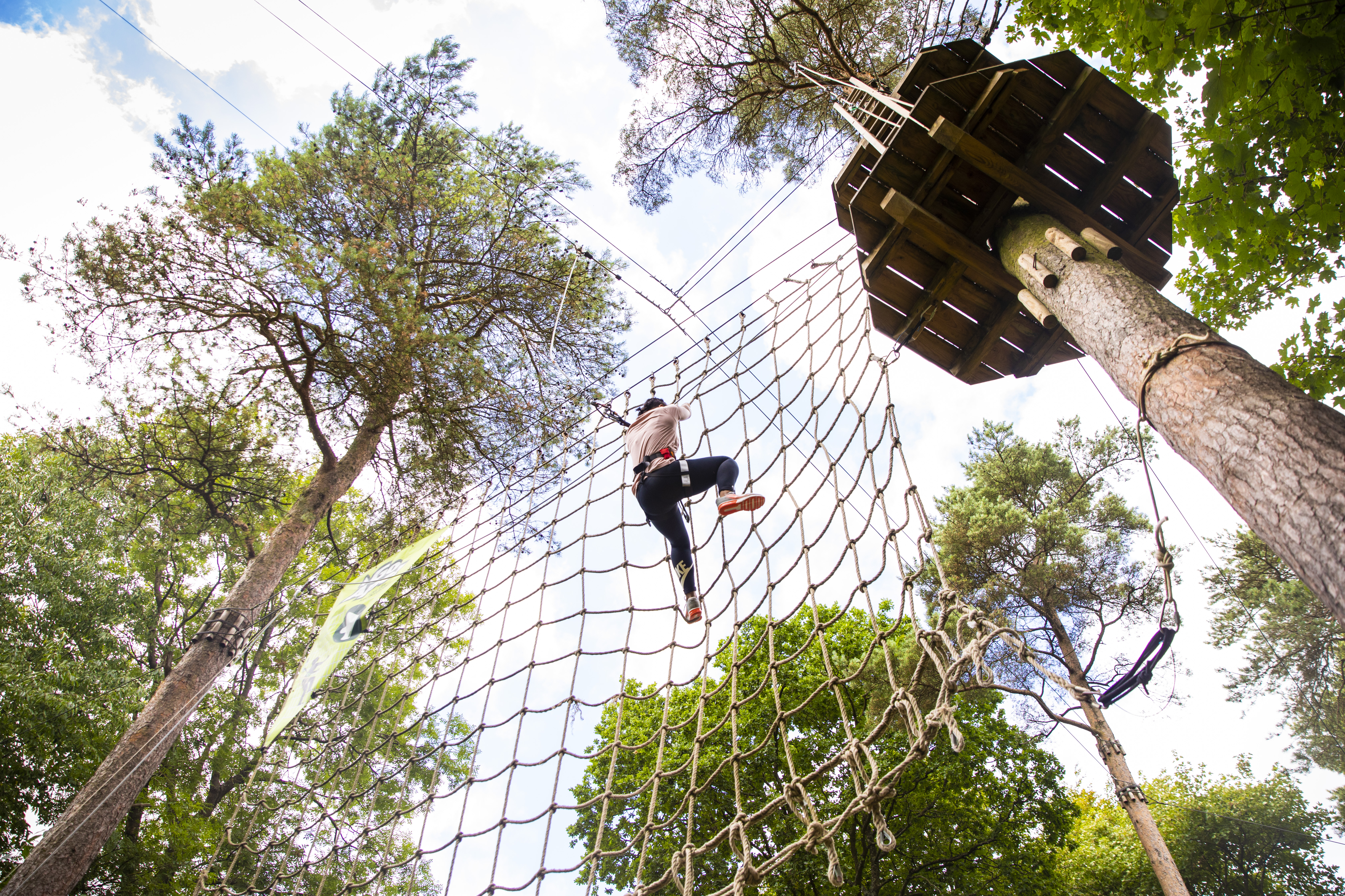 Woman in white shirt on Tarzan swing on Go Ape Treetop Challenge 