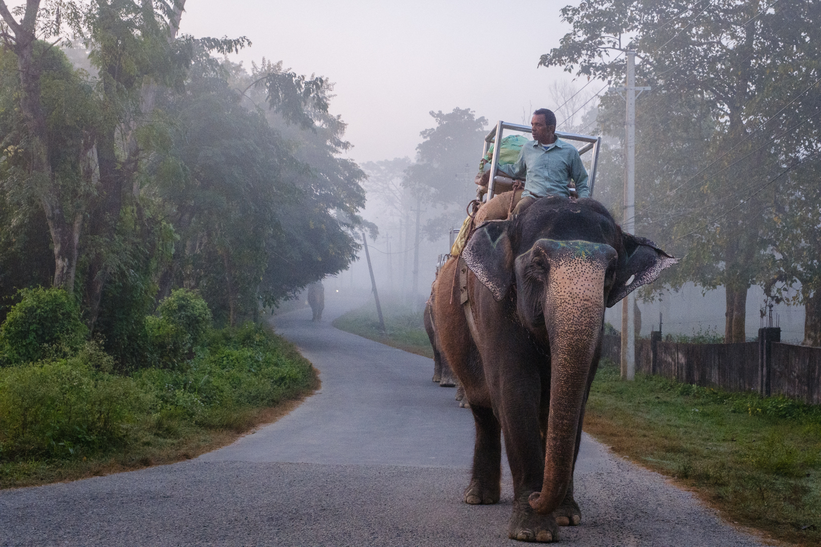 Man on elephant in Nepal