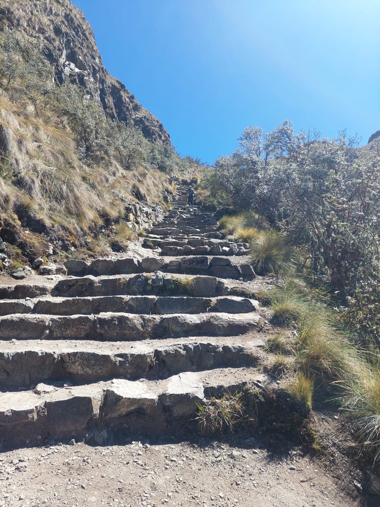 Ascent along the Inca Trail