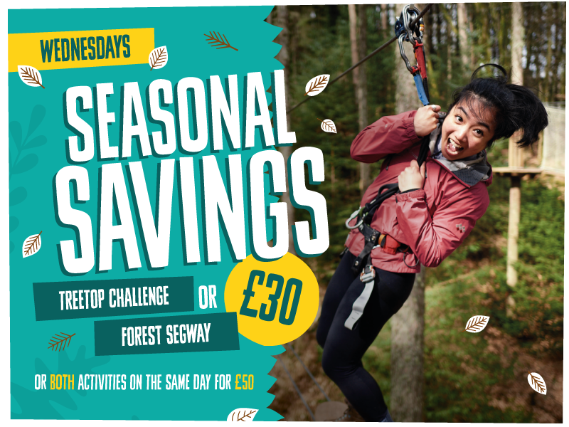 Seasonal Savings at Cannock Chase Go Ape