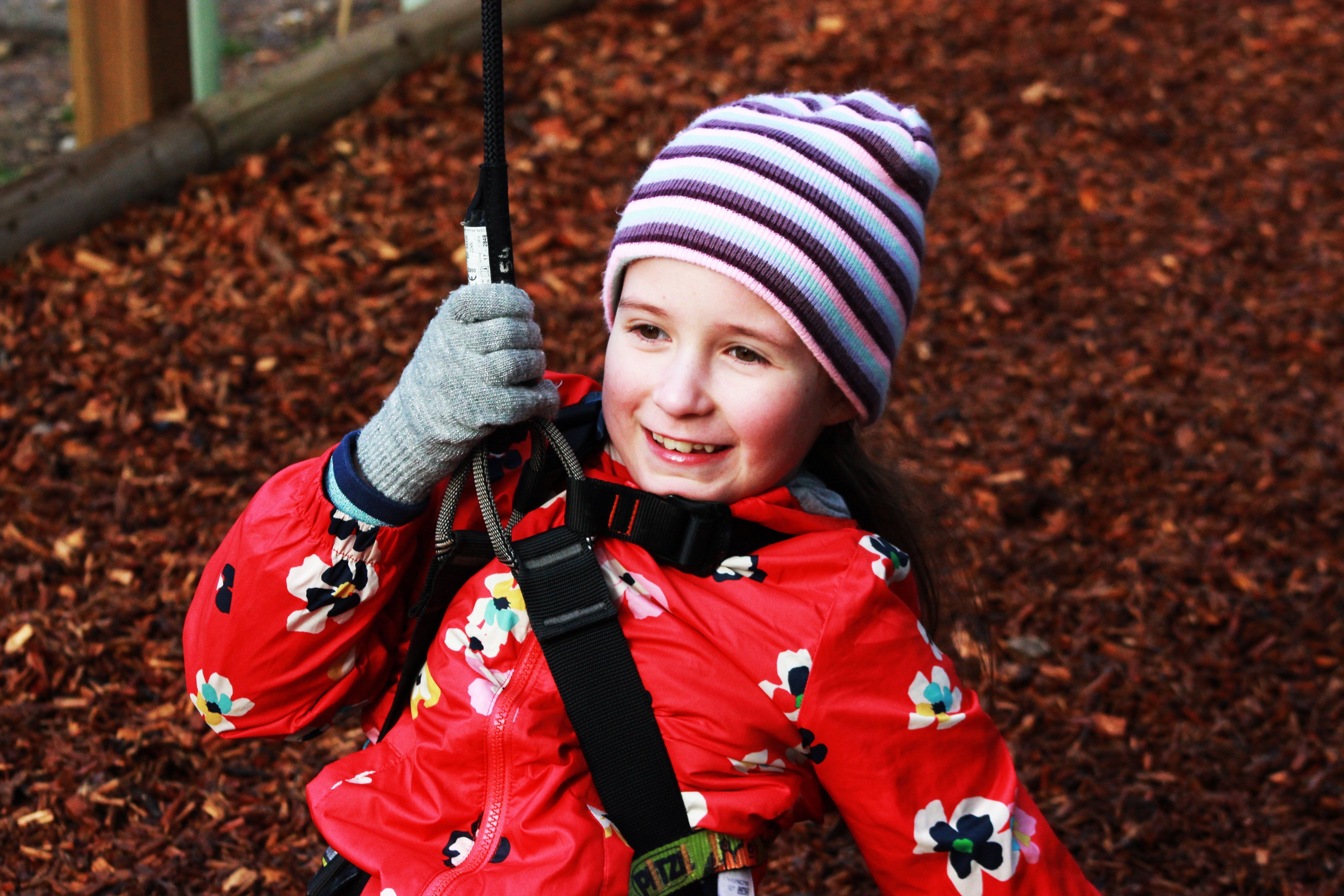 High Ropes For Kids In Bedgebury Kent Go Ape