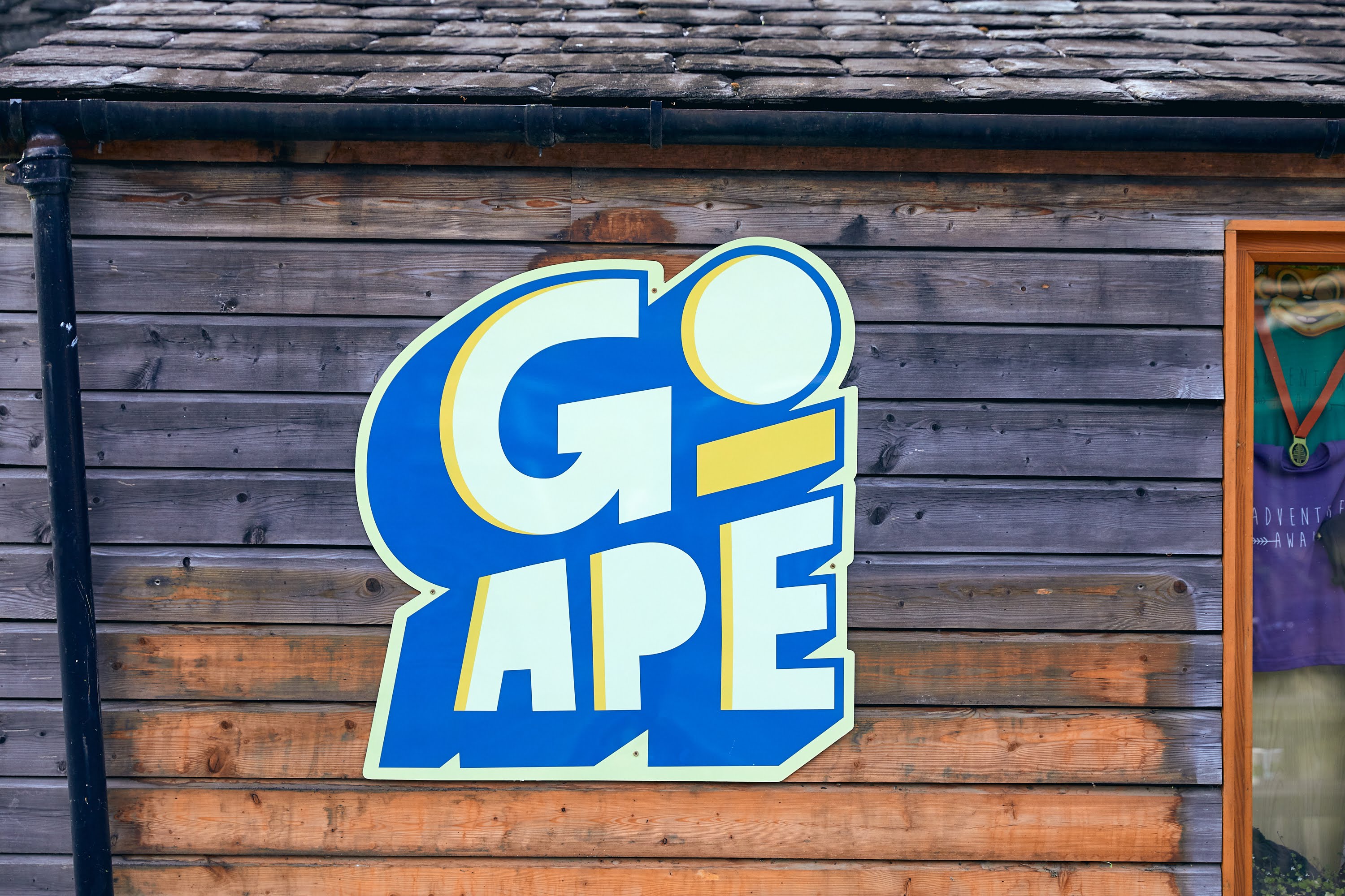 Contact Us | Inside Go Ape | Go Ape