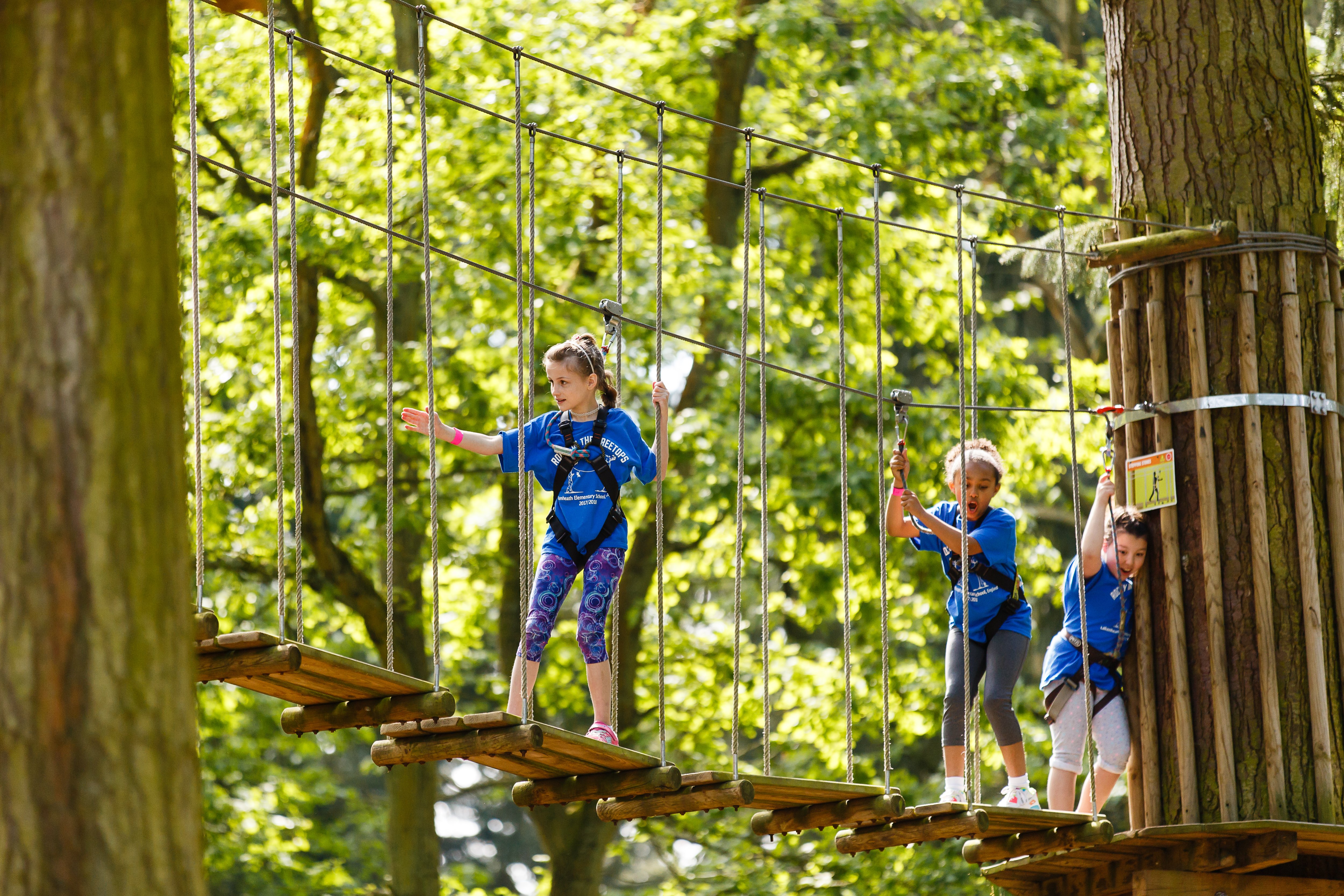 School Trips | Trips For Schools | Go Ape