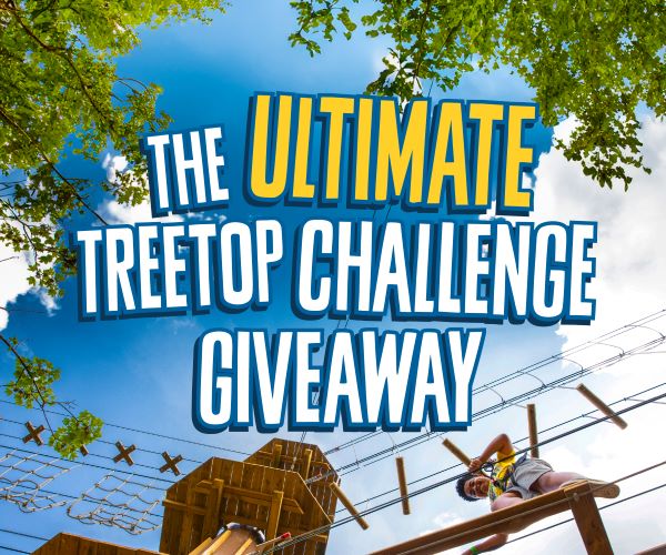 A blue sky and a Go Ape Treetop challange course witg the text 'the ultimate treetop challenge giveaway'