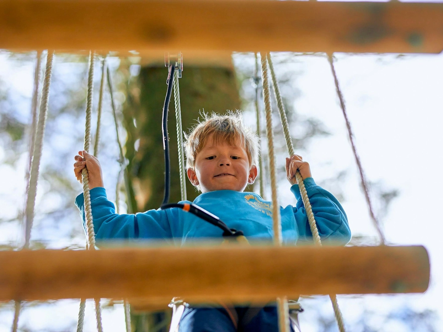 How to Prepare for Your Go Ape Adventure