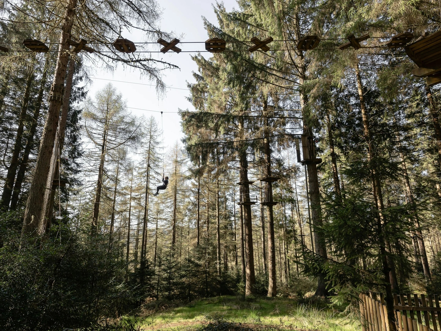 Top 5 Hardest Treetop Challenge Courses to Test Your Nerve