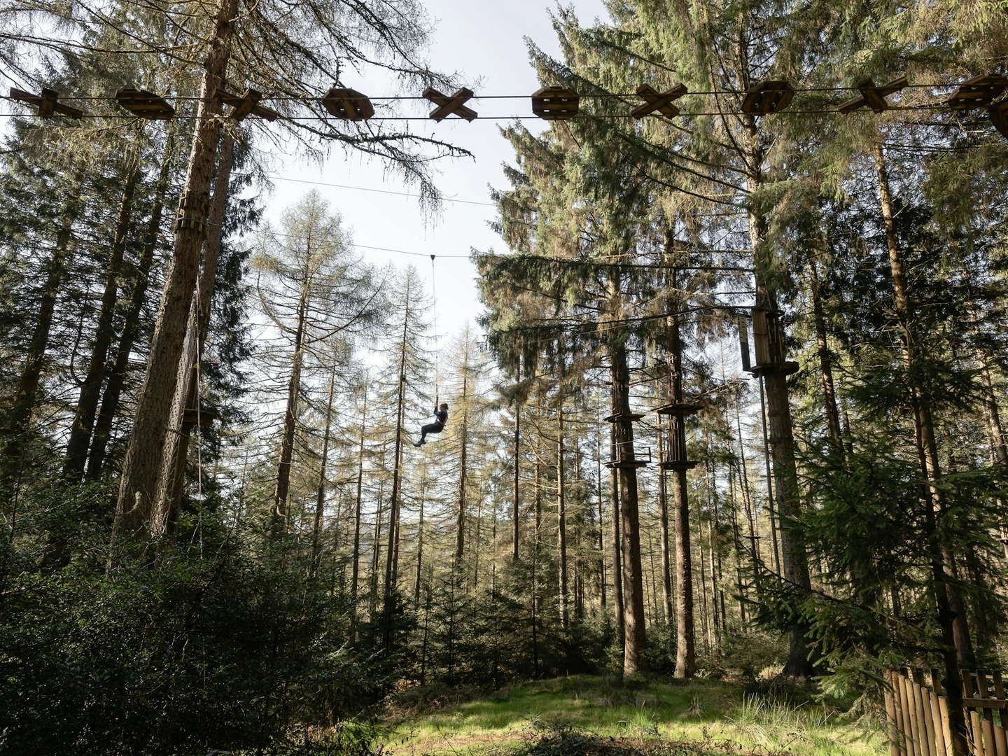 Top 5 Hardest Treetop Challenge Courses to Test Your Nerve