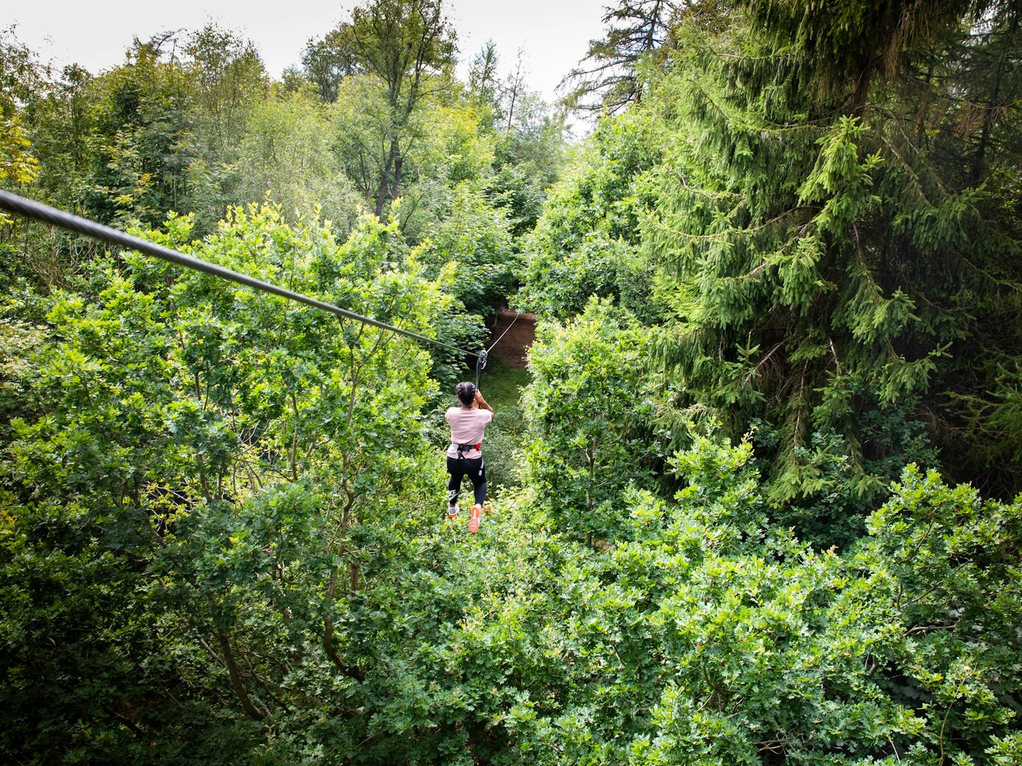 Person on a zip wire in the distance surrounded by trees.