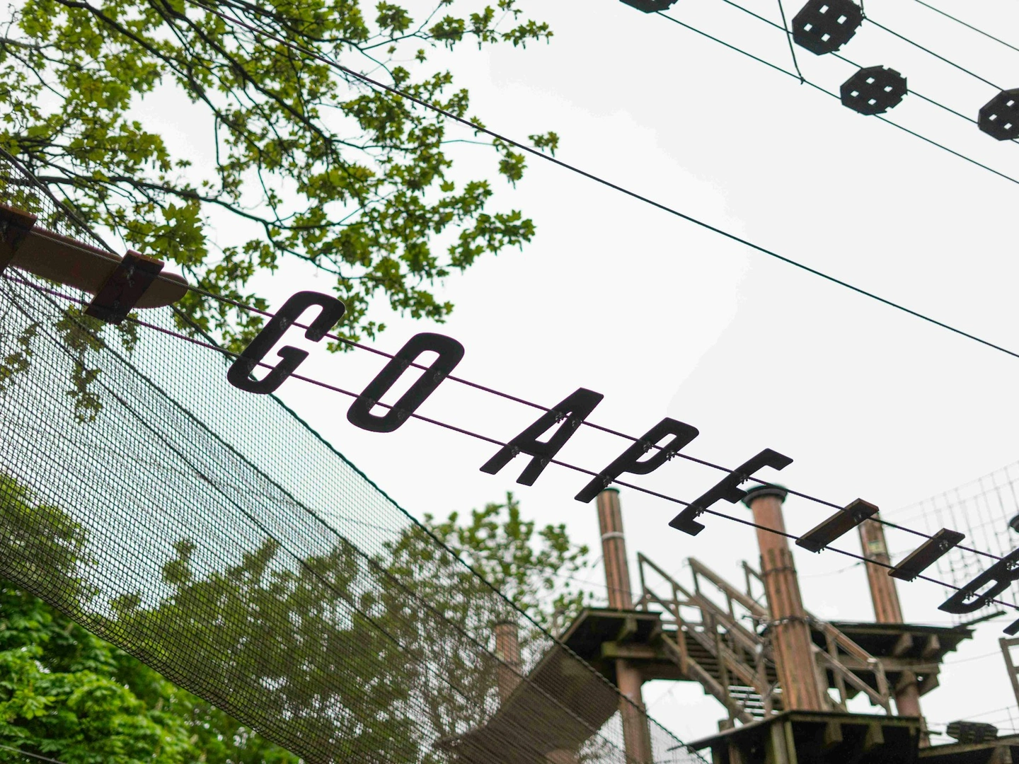 Your Ultimate Day Out at Battersea Park