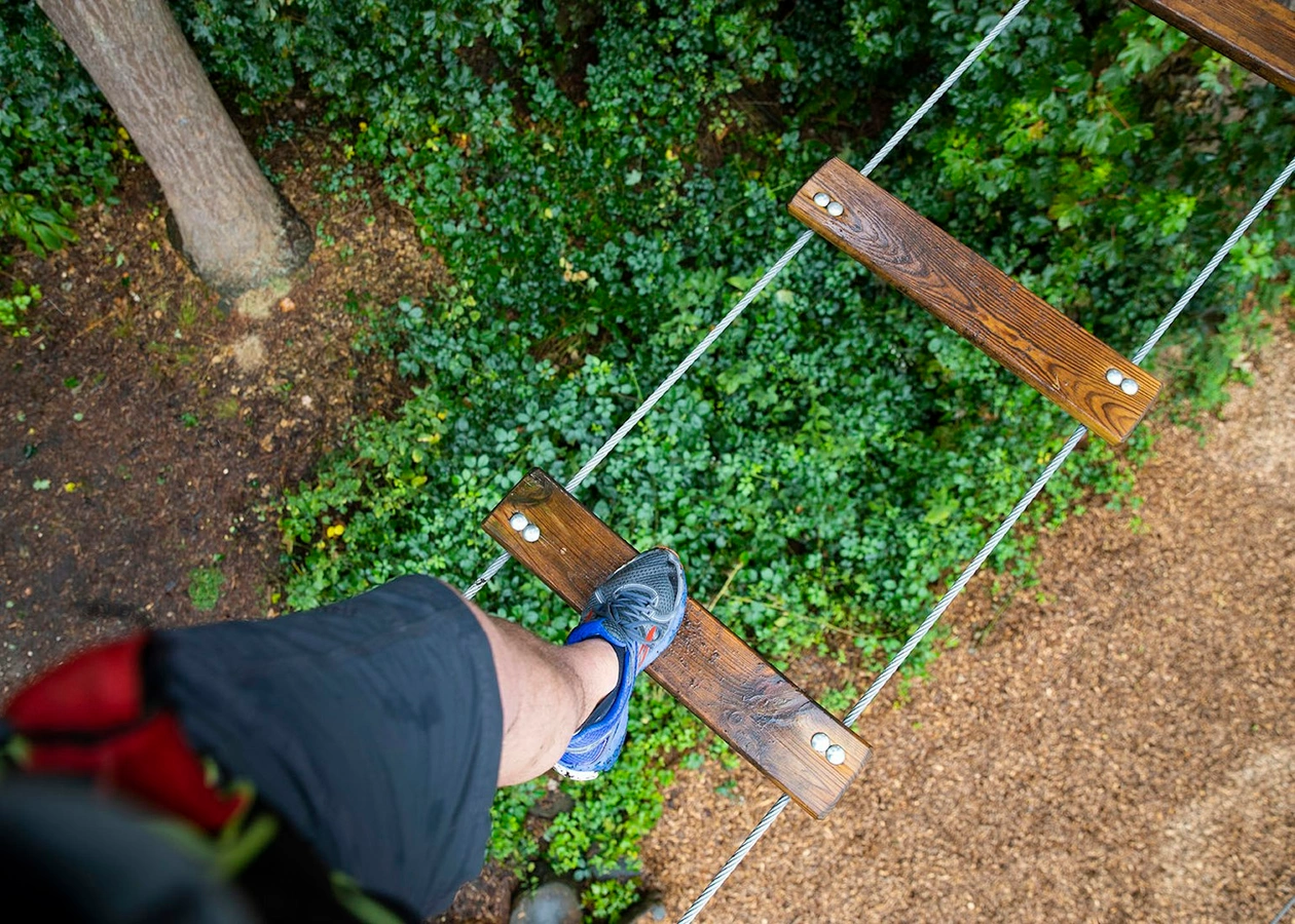 Margam Country Park's Featured Image
