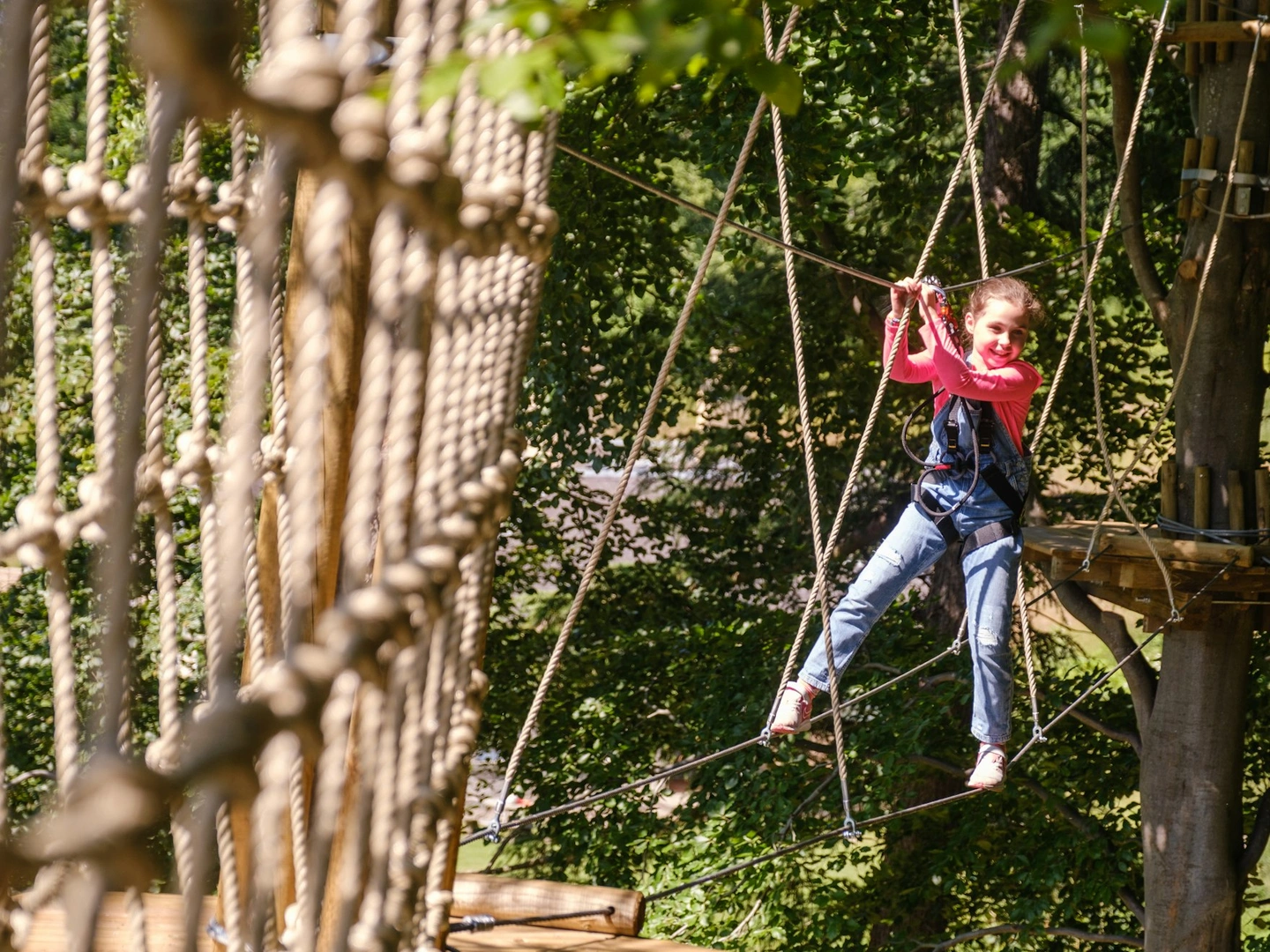 From Enquiry to Adventure