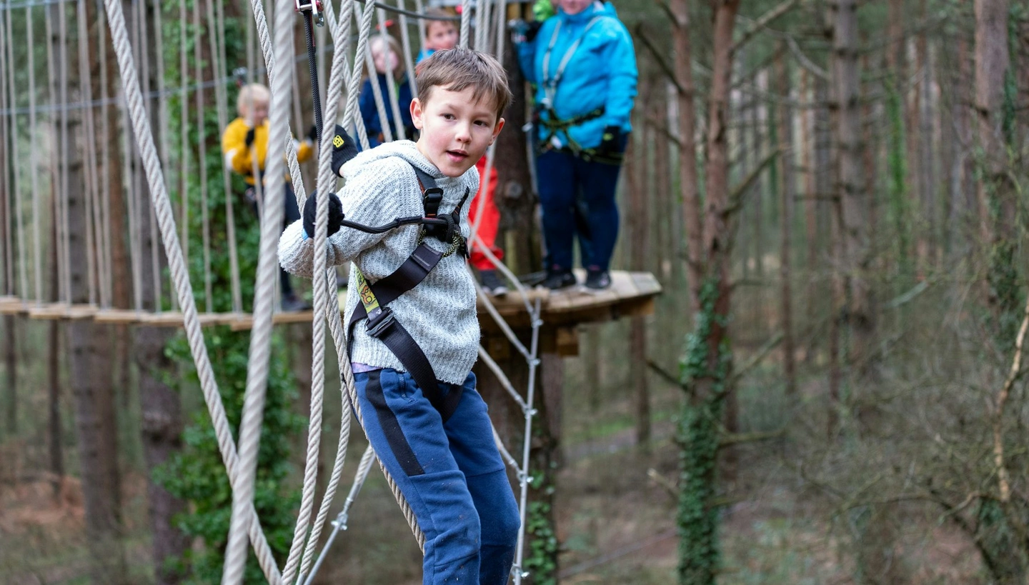 What Do I Need To Know?