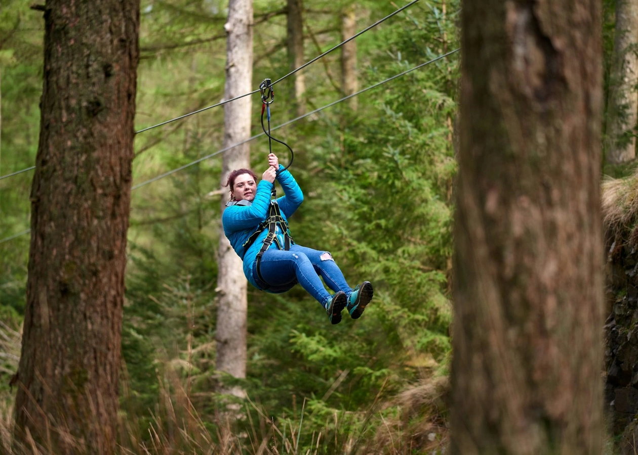 Grizedale Forest's Featured Image