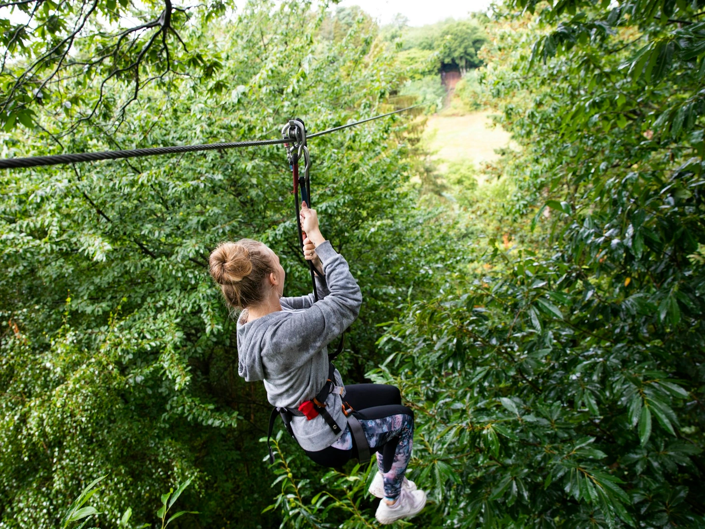 A woman departs down a forest zip wire surrounded by trees