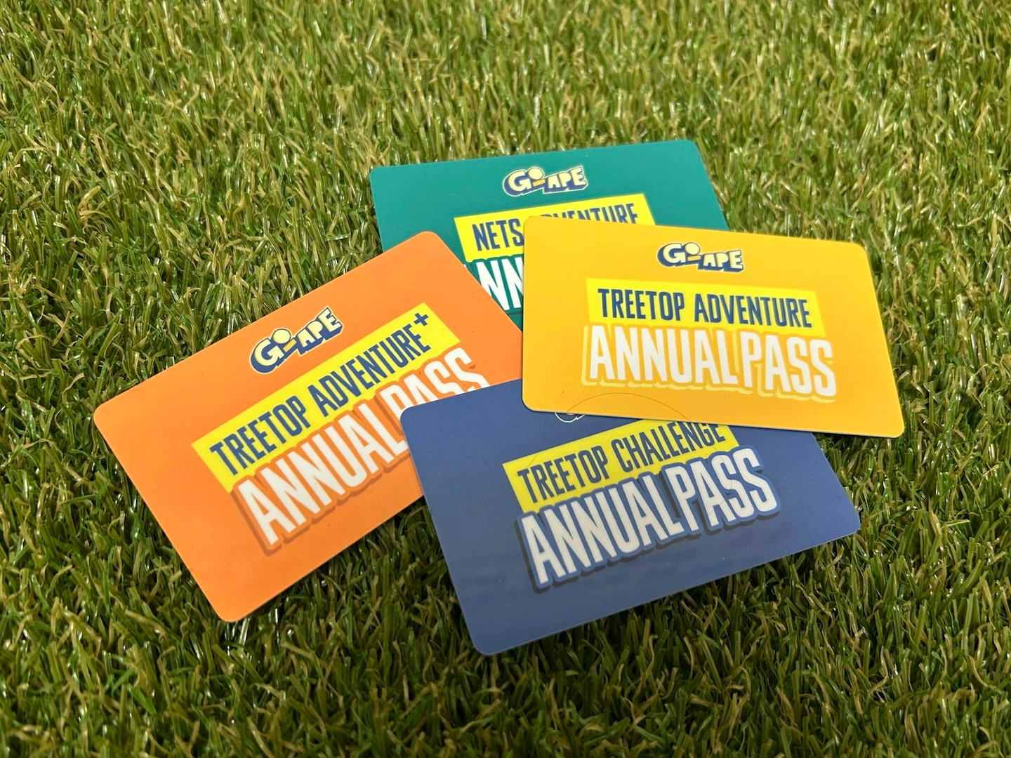 Packed with Perks — Your Year of Adventure Awaits