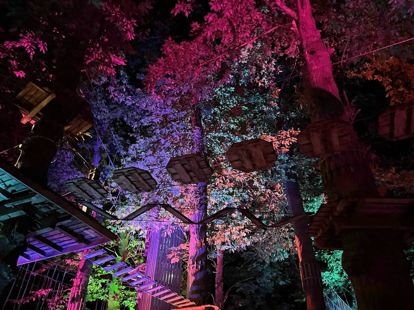 What your visit could look like