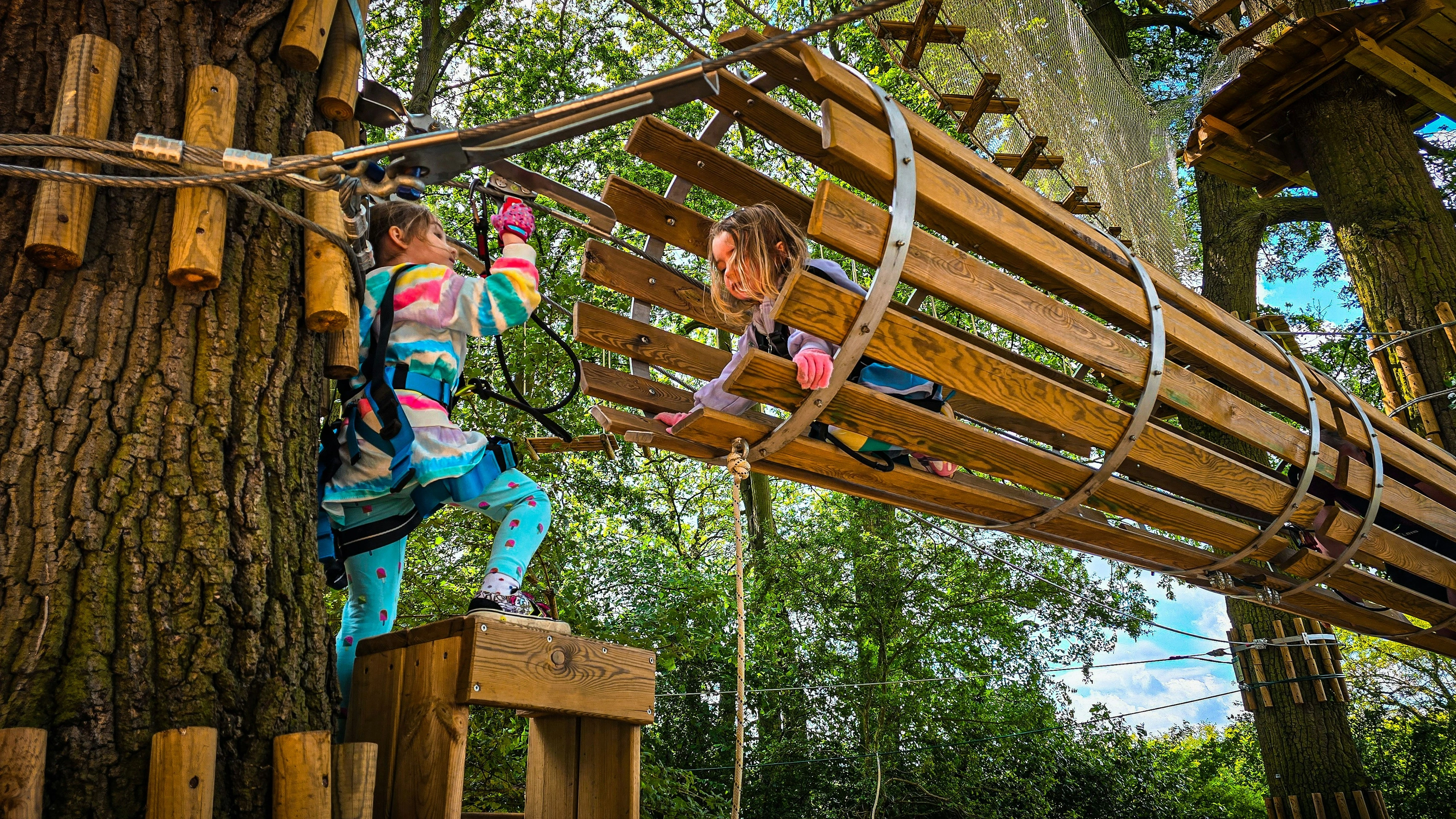 Children crawl through a high ropes tunnel obstacle on a forest adventure