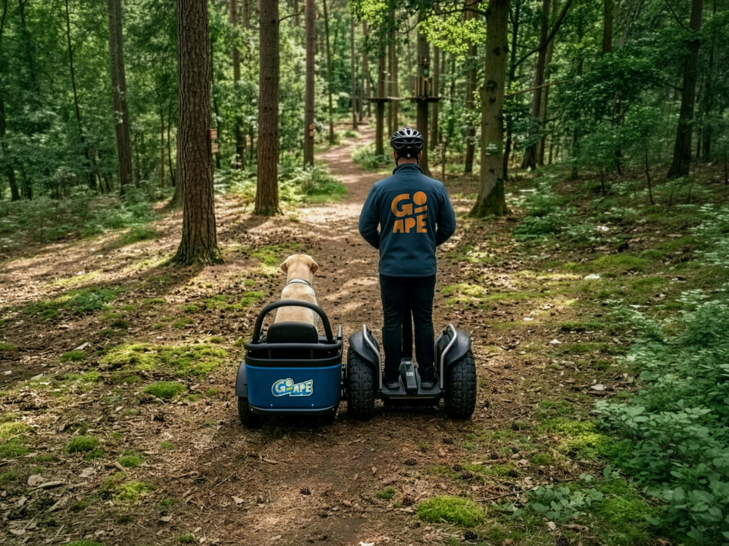 A Go Ape instructor and his dog riding a Forest Sidecar through the woods