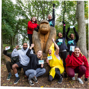 A group celebrating a hen party at Go Ape