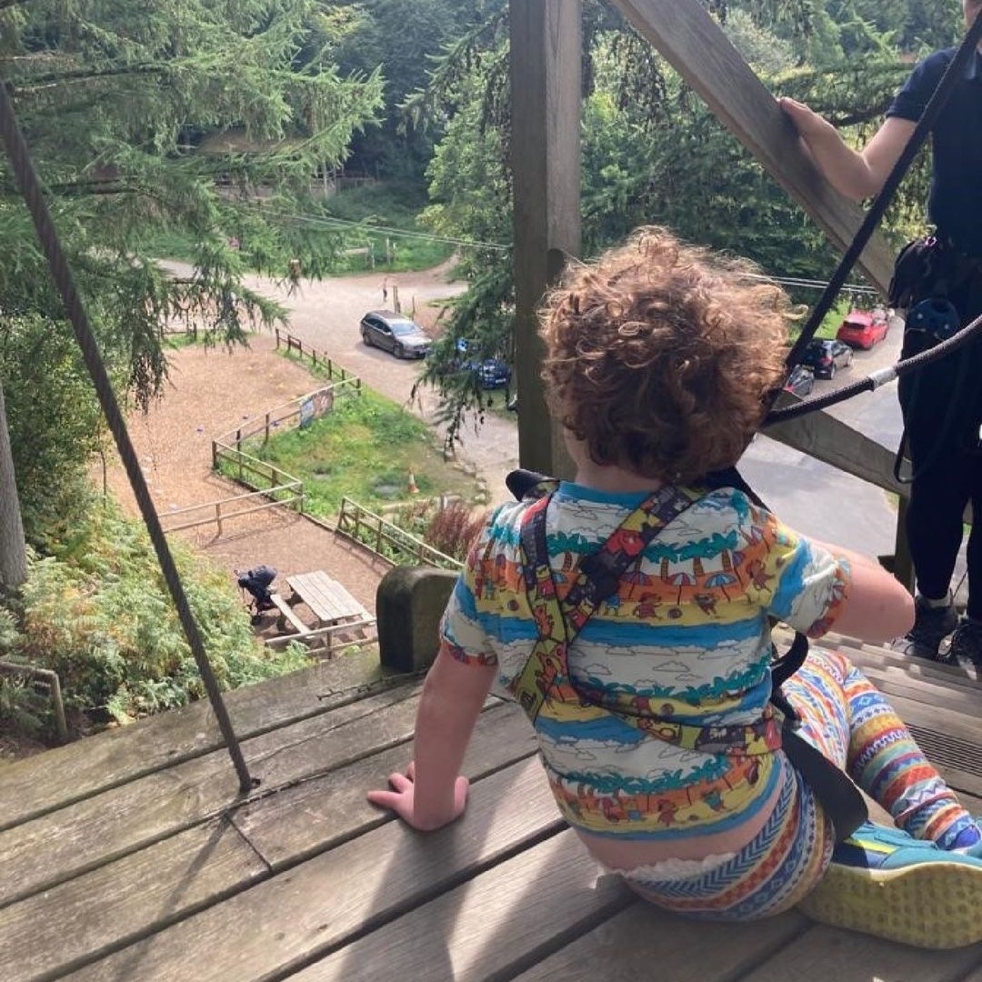a young boy sitting on a Go Ape platform and looking out into the forest