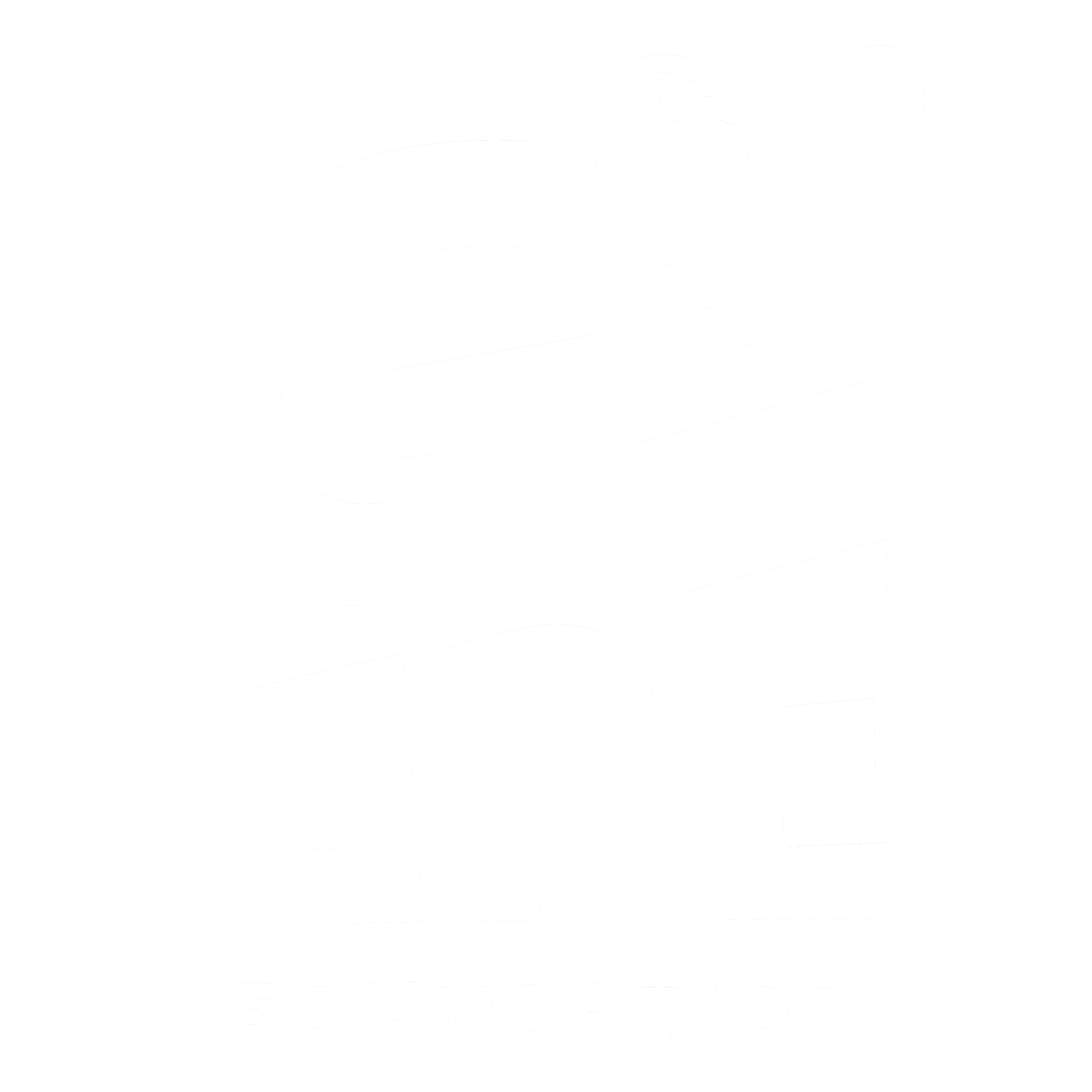 Go Ape 20 Years of Adventure