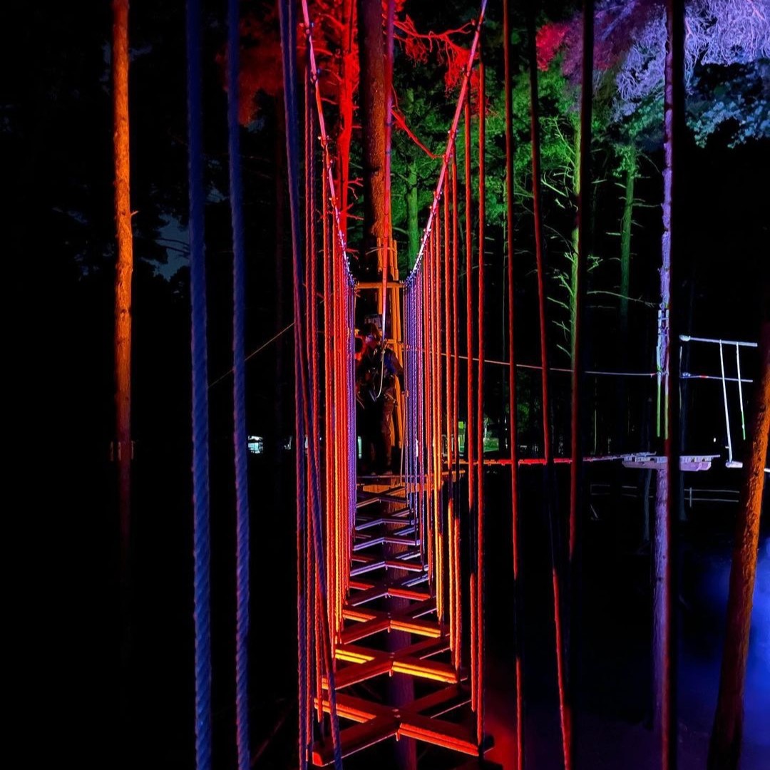a Go Ape high ropes crossing at night lit with colourful lights