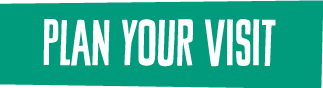 Plan Your Visit