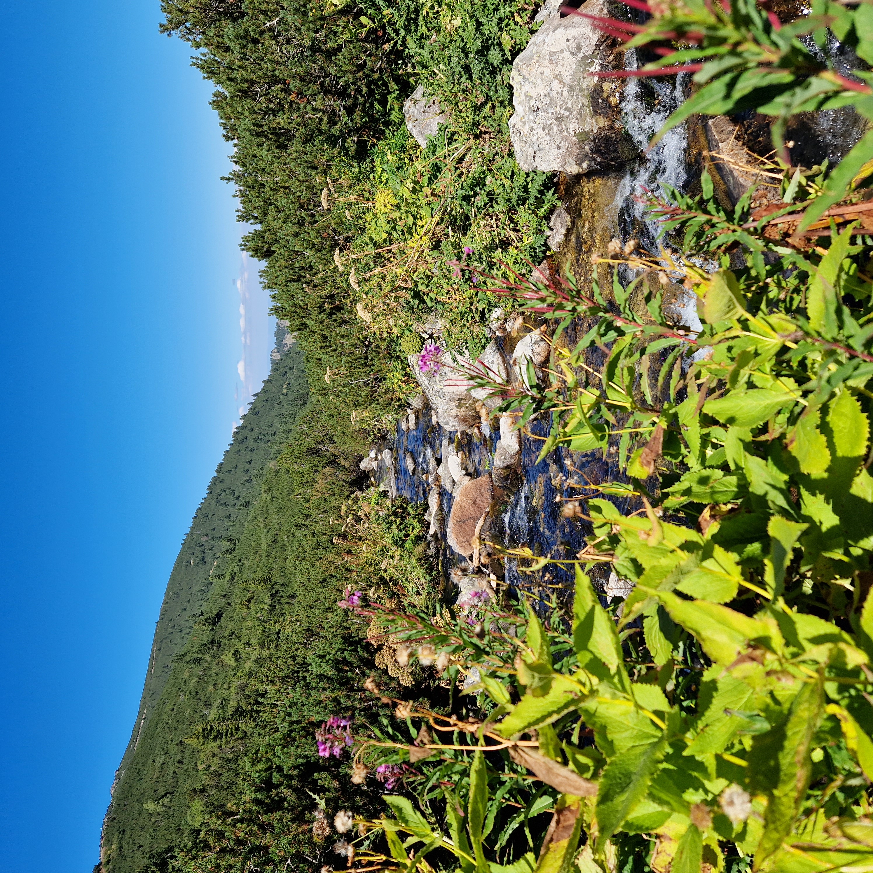 A beautiful view back down the valley in the Rila Mountains with a shallow stream in the foreground