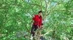 A woman in a red top on a Go Ape tree top crossing