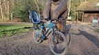 Mountain bike with a child seat at Go Ape