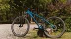 Mountain Bikes for hire at Go Ape Alice Holt near Farnham