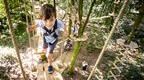 A boy on a Go Ape tree top crossing in the forest