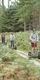 Group on Forest Segway adventure 
