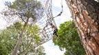 A Go Ape Tarzan Swing at Wendover Woods, the perfect day out for adults near London