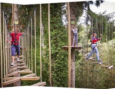 Adventure High Ropes at Hylands Park near Chelmsford | Go Ape