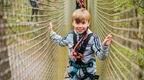 Boy_in_grey_on_treetop_adventure_crossing