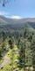Go Ape Treetop Challenge in the Lake District 