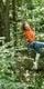 Woman in orange on Go Ape Treetop Challenge zip line